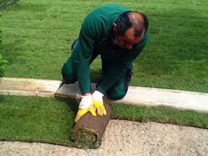 service single images