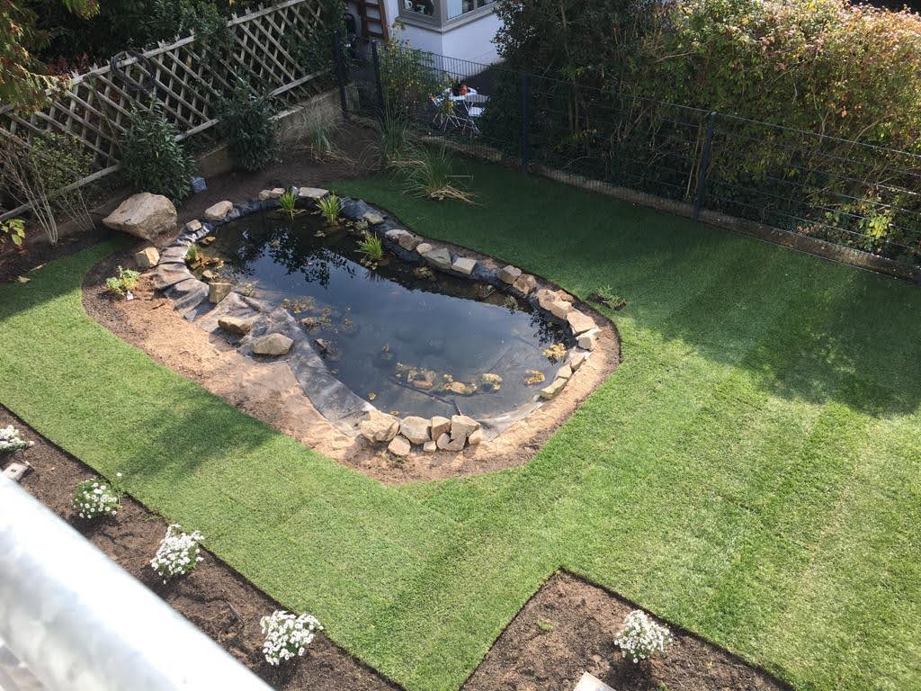 service single images